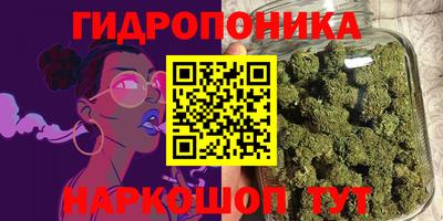 ГАЛЛЮЦИНОГЕННЫЕ ГРИБЫ Новозыбков