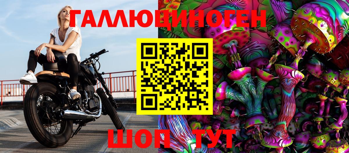 Галлюциногенные грибы Psilocybine cubensis Тулун